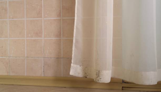 Mold Remediation for Rental Properties in Harbison Canyon, CA