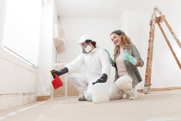 Best Biohazard Mold Removal  in Harbison Nyon, CA